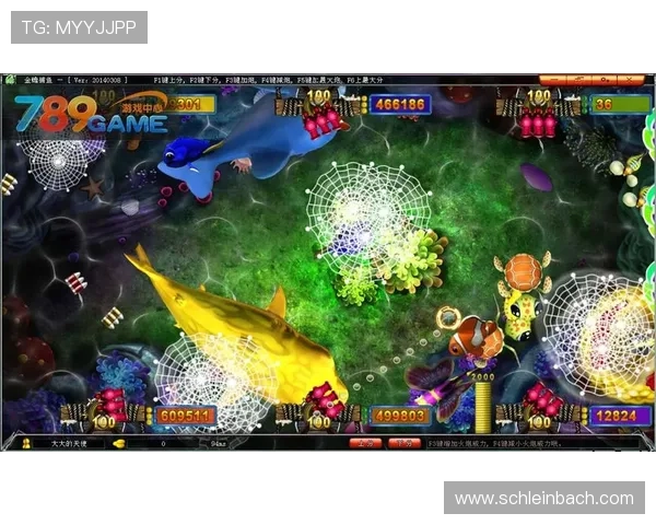 如何高效下载金鲨银鲨游戏，确保游戏体验流畅无卡顿